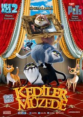 KEDİLER MÜZEDE